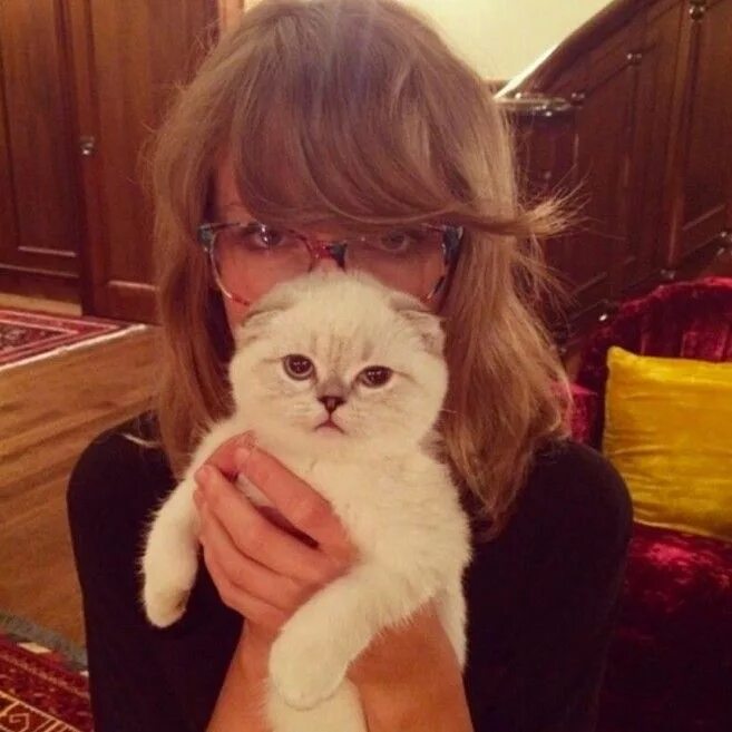 Кошка тейлор. Тейлор Свифт и Мередит. Taylor Swift Cats. Кошка Тейлор Свифт.