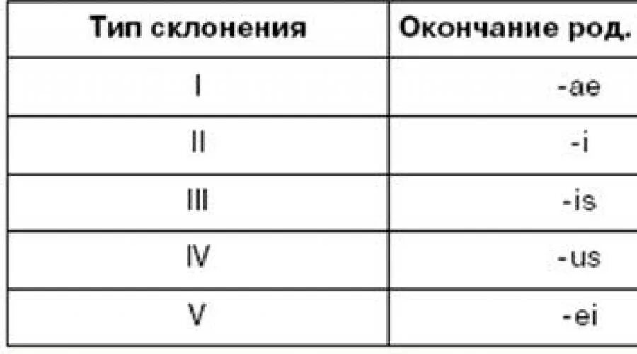 Атрофический латынь. Типы склонений латынь. Как определить склонение существительных в латинском. Как определить склонение в латинском языке у существительных. Таблица склонений имён существительных в латинском языке.