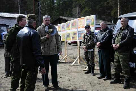 Погода ульяновская область лесной