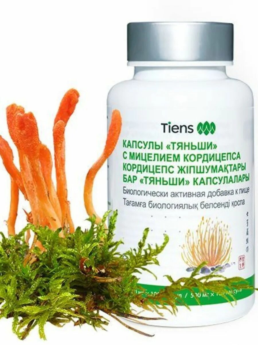 Cordyceps инструкция. Тяньши с мицелием кордицепса. Продукция Тяньши кордицепс. Кордицепс Тяньши в капсулах. Кордицепс супер капс 60.