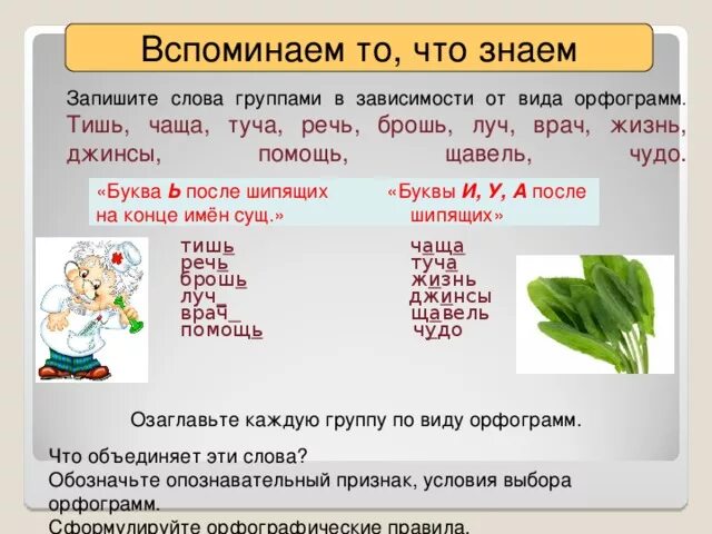 Чащу корень. Орфограммы. Щавель орфограмма. Орфограмма в слове врач. Орфограмма в слове щавель.