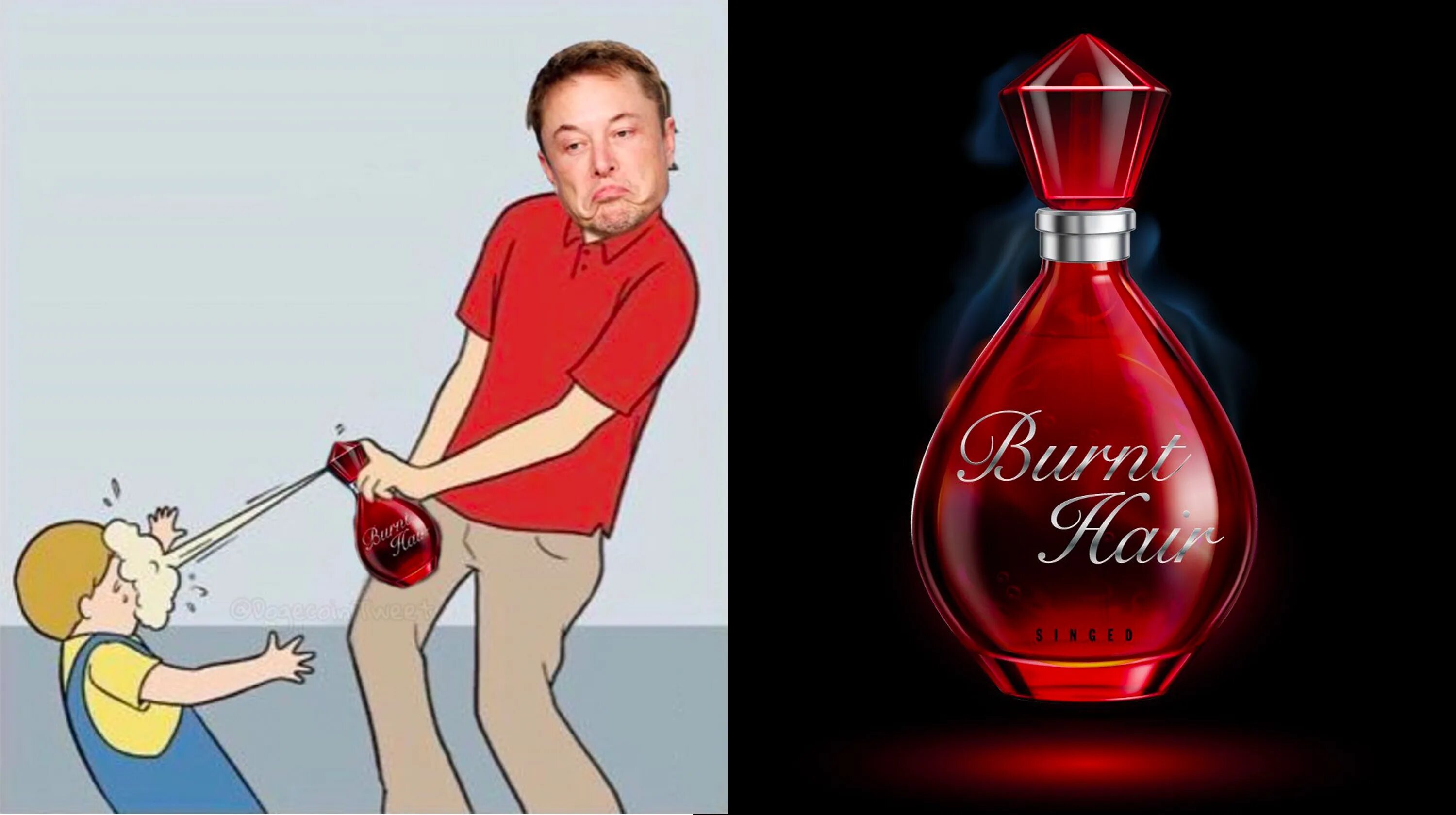 Burning hair. Burnt hair Elon Musk. Burnt hair.