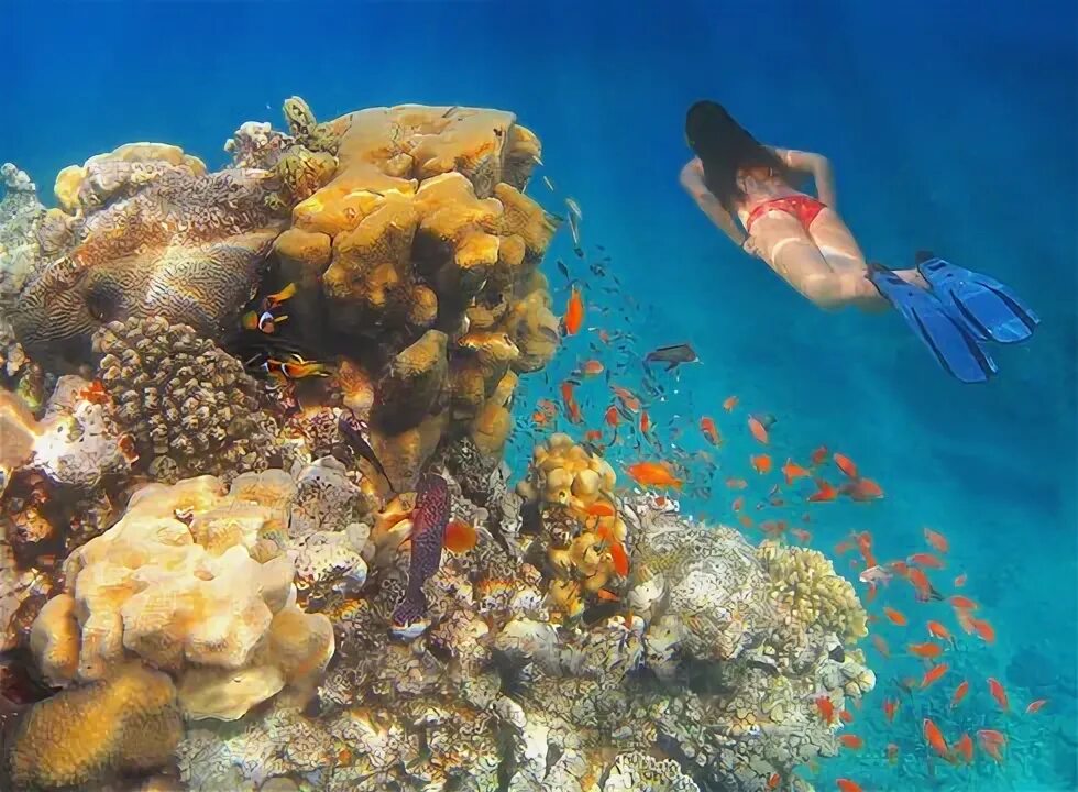 I went to TUI's Egyptian all-inclusive resort. it had huge swimming pools & was 