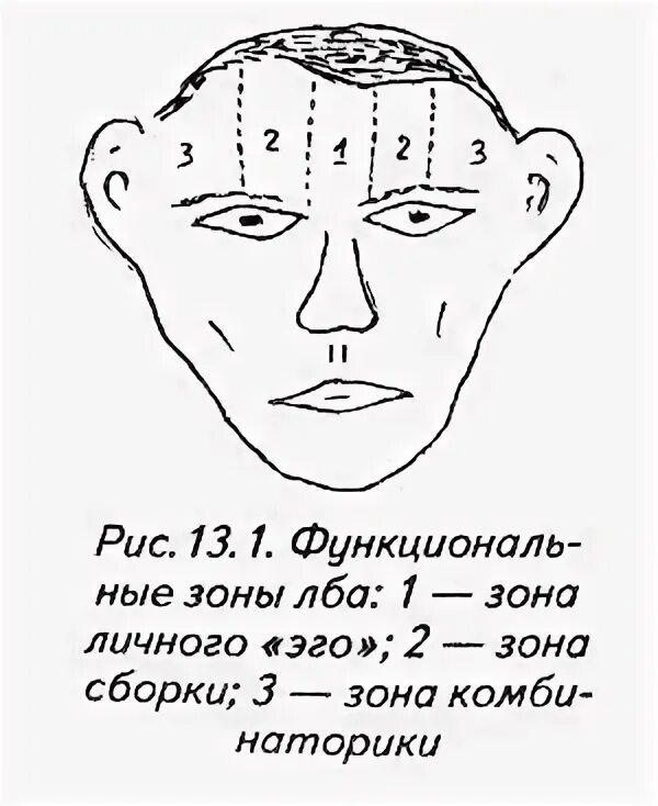 Зона лба. Зоны лба физиогномика. Зона эго физиогномика. Физиогномическая схема лба. Зоны лба упрямца.