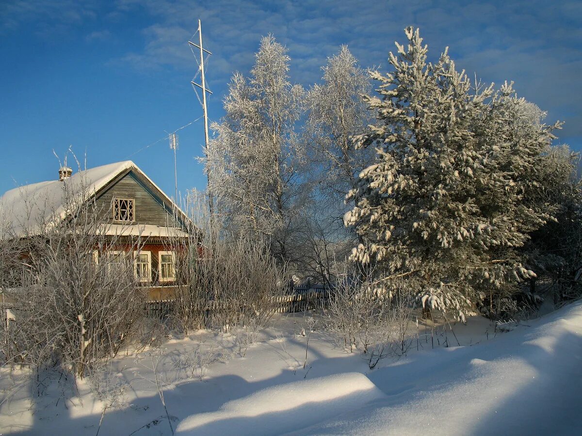 Сесть январь
