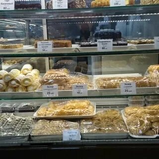 Слон пятигорск
