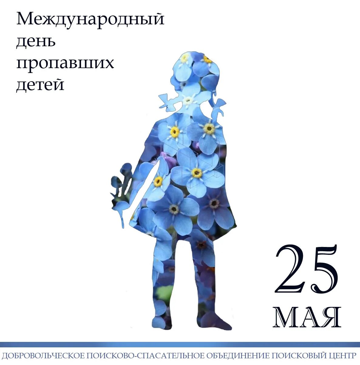 Нету даты