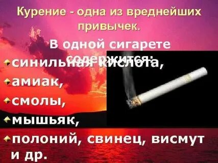Текст песни вредные привычки