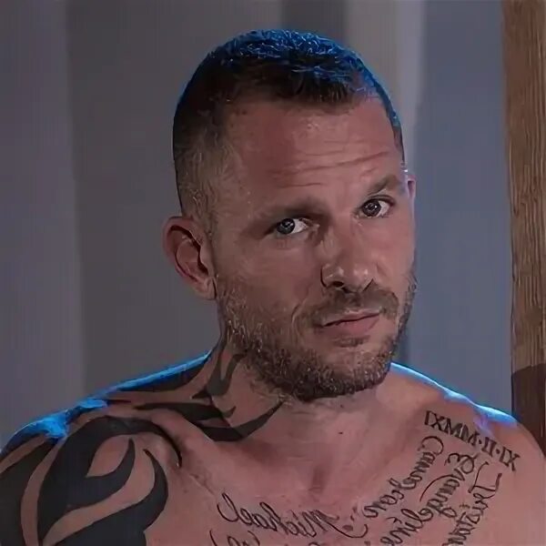 Скотт нейлс. Шонн уильям скотт тату. Скотт нэйлс. Скотт нэйлс. Скотт нэйлс актер.