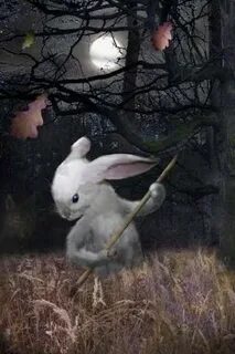 Косят зайцы траву