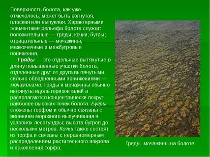 Сточное болото