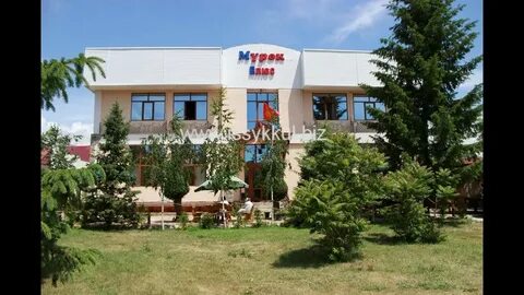 Номер телефона куль
