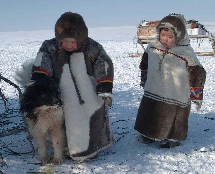 Ненцы группа. Чукчи ненцы Эскимосы. Ненцы и нанайцы. Ненцы и якуты. Эвенки, нанайцы, ненцы.