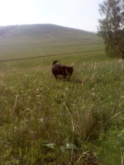 Село буланово оренбургская область. Погода биккулово оренбургская область. Погода биккулово оренбургская область. Погода биккулово оренбургская область. Погода биккулово оренбургская область.