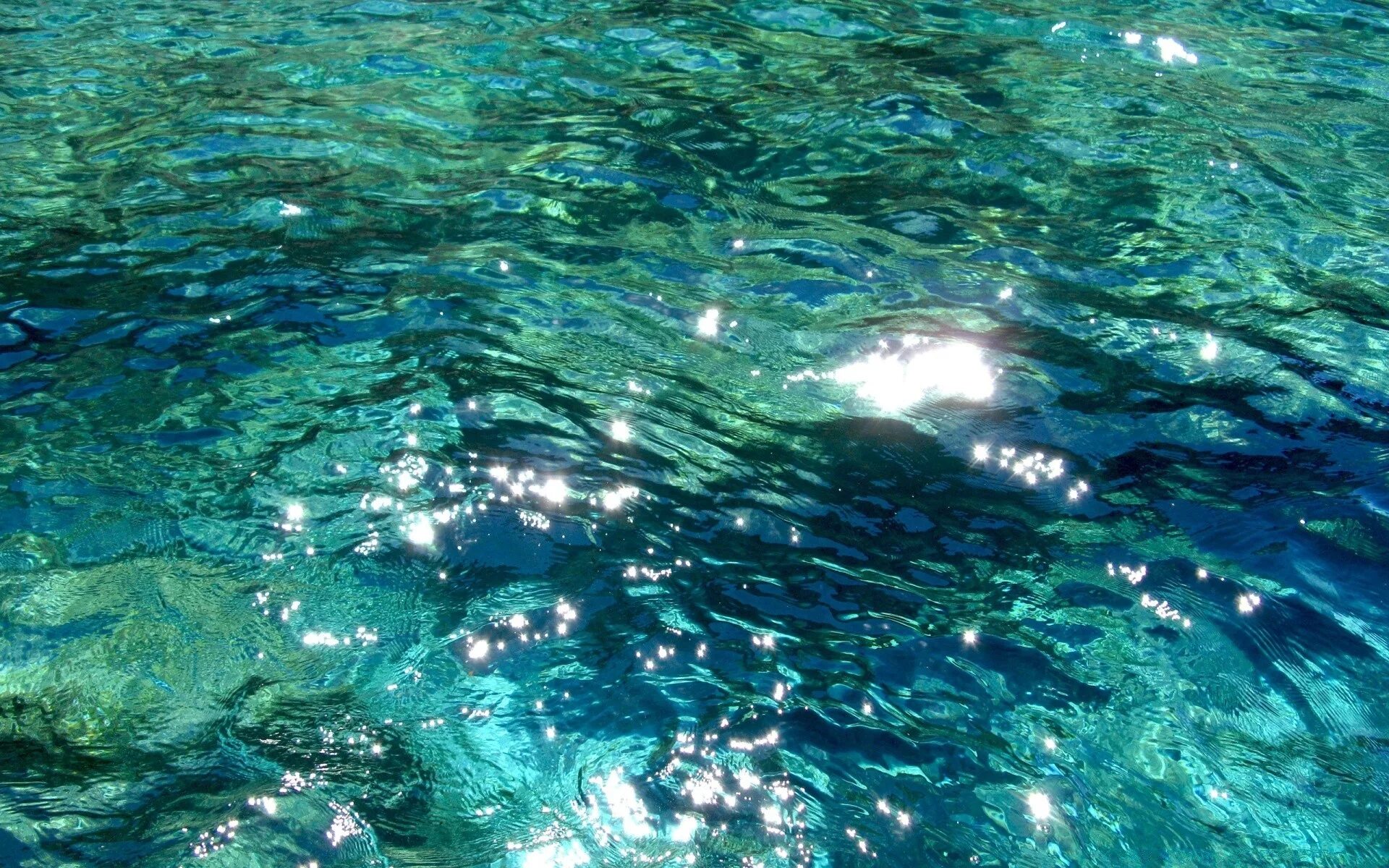 Прозрачное море. Прозрачная вода в океане. Прозрачная вода море. Море под водой.