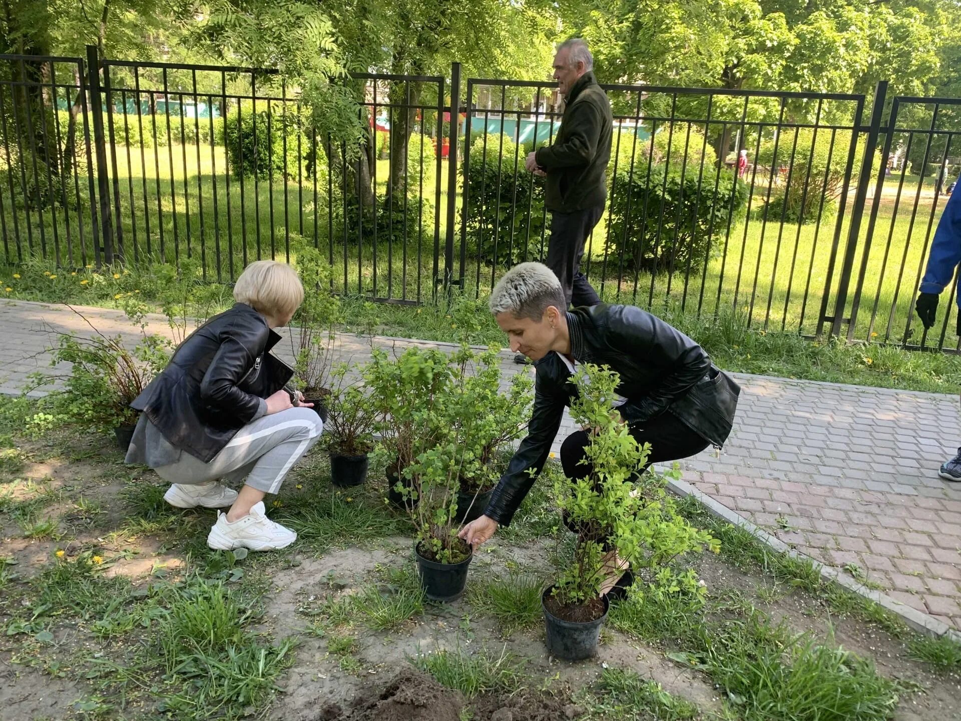 Пописала вк