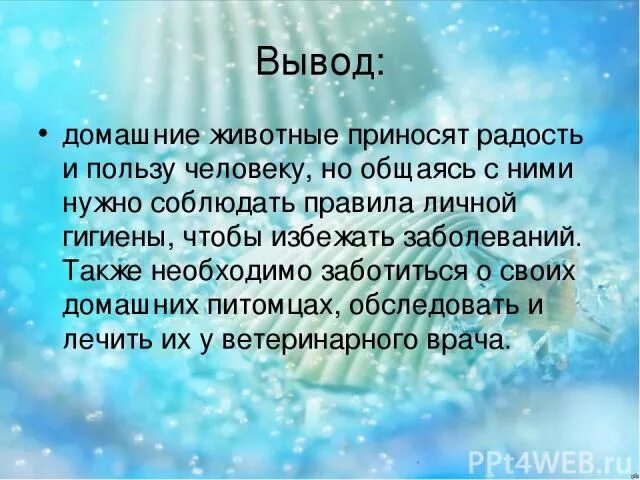 Домашние животные проект How-info.ru