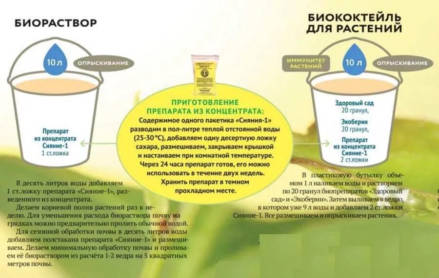 В ведро входит 10 литров воды. Сияние-1 микробиологический препарат инструкция. Биококтейль для растений. Биококтейль для картофеля. Биококтейль сияние.