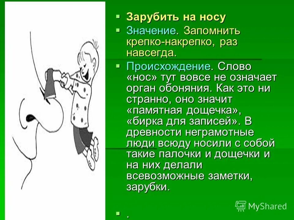 Зарубить на носу. Заруби себе на носу. Фразеологизм зарубить на носу. Фразеологизм заруби себе на носу.