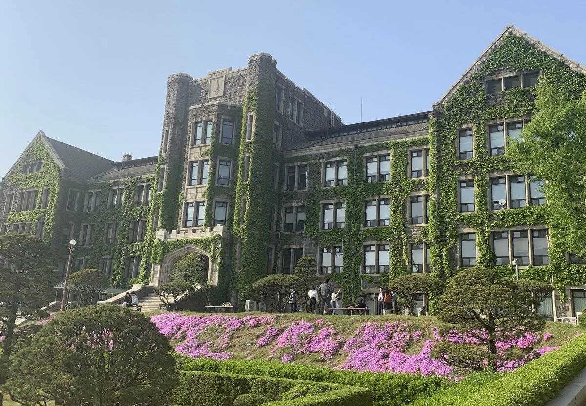 Yonsei university как поступить