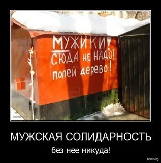 Мужская солидарность что это