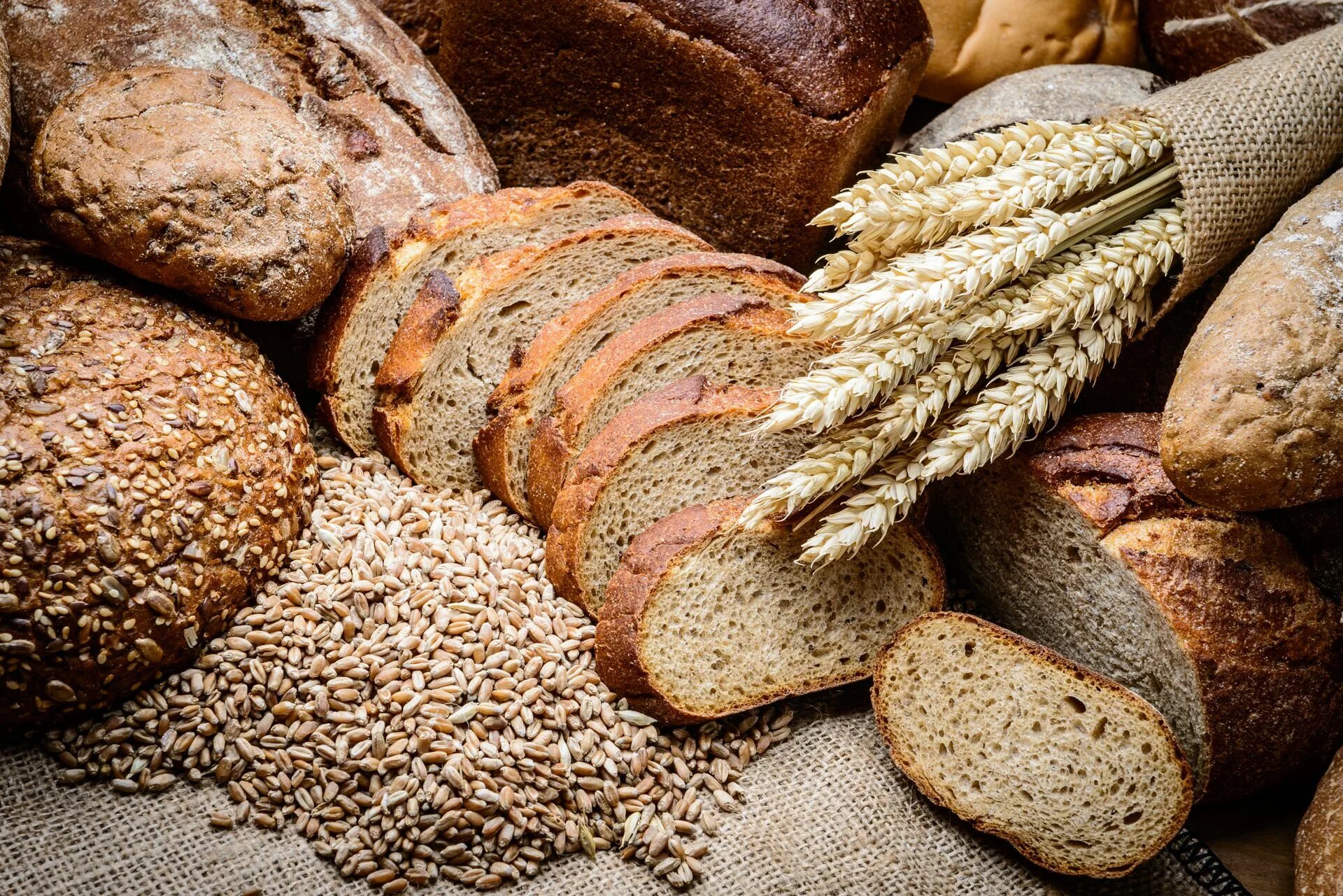 Bread wheat