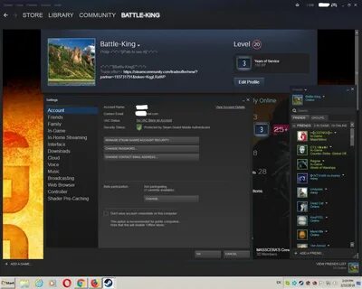 Steam lvl