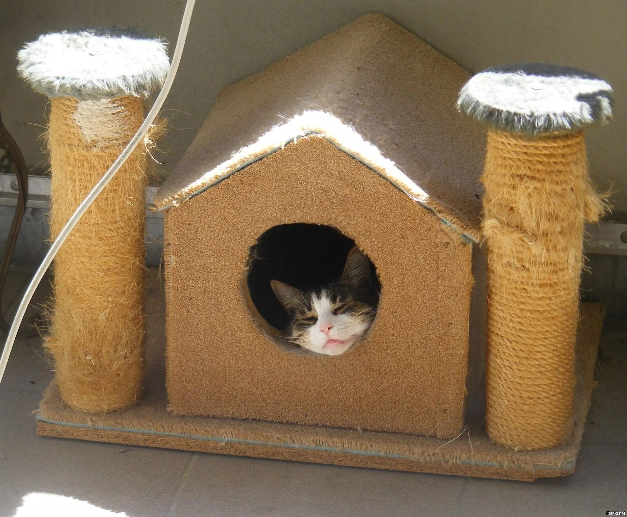 Самодельный кот. Домики для котов. Самодельный кошачий домик. Самодельные домики для котов. Дом для котика.