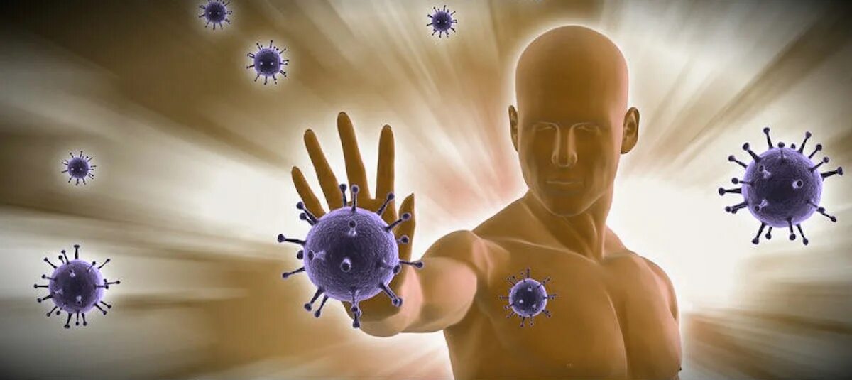 Структура органов иммунной системы. Нарушение иммунной системы человека. Иммунная система обладает. Презентация на тему иммунная система. Иммунная система обладает.