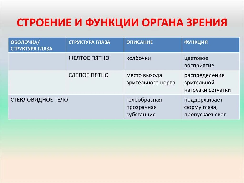 Роль органов зрения. Таблица часть органа зрения строение функции. Орган зрения строение и функции. Строение и функции глаза. Структура строение органа зрения.