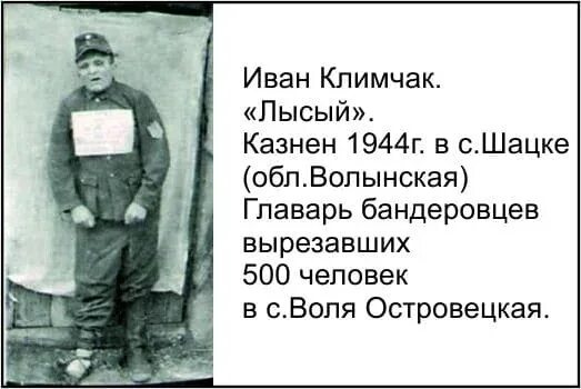 Что делал бандеровец. Что делал бандеровец. Бандеровцы упа. Что делал бандеровец. Что делал бандеровец.
