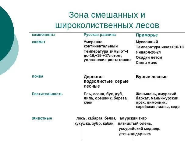 Природная зона смешанные и широколиственные леса таблица. Смешанные и широколиственные леса таблица. Зона смешанных лесов таблица. Зона смешанных и широколиственных лесов таблица. Природные зоны широколиственные леса таблица.