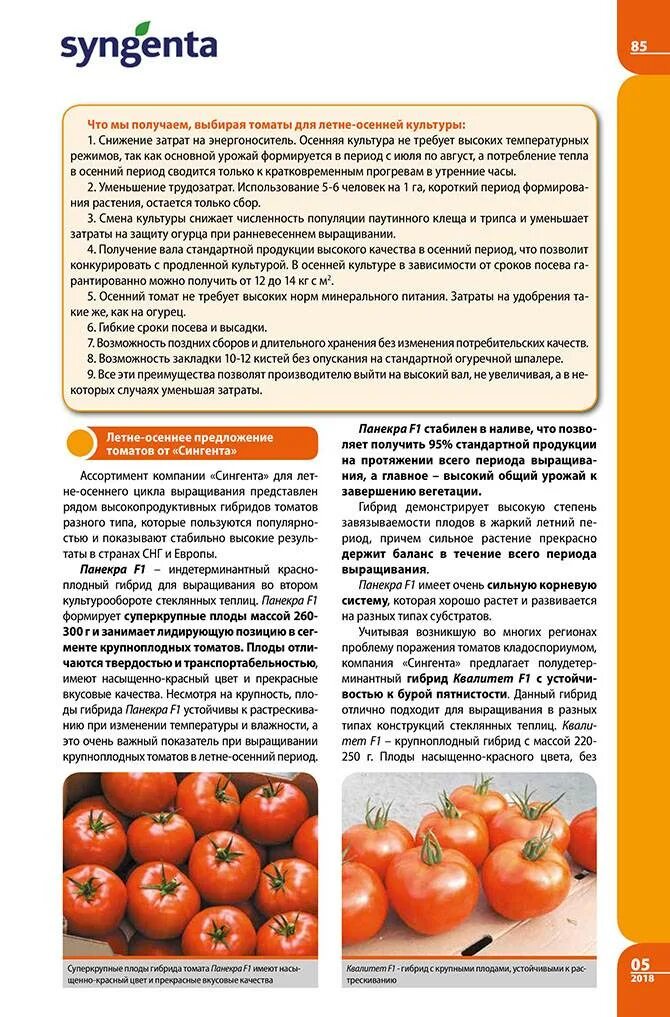 Характеристика сорта томата яблочный