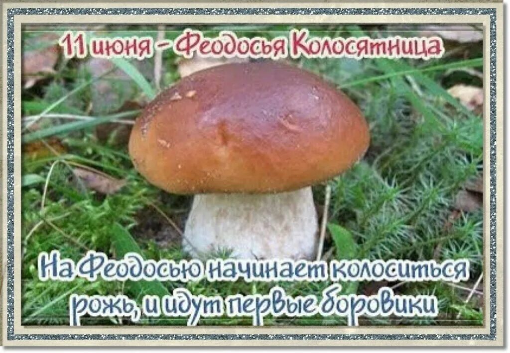 11 июня день в истории. Феодосия колосяница в народном календаре. народный праздник феодосия колосяница. феодосия колосяница 11 июня праздник. 11 июня феодосья колосятница.