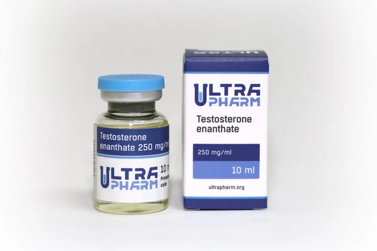 Testosterone Enanthate 10ml 250mg/ml. Тестостерон энантат 10мл 250 мг. Testosterone Enanthate 10ml тестостерон. Testosterone Enanthate 250 10 ml. Тестостерон 250 купить