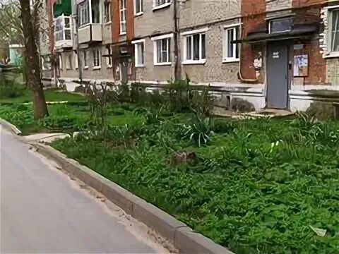 Реммаш ул институтская. Реммаш ул институтская 3. поселок реммаш. реммаш московская область. институтская 13 реммаш.