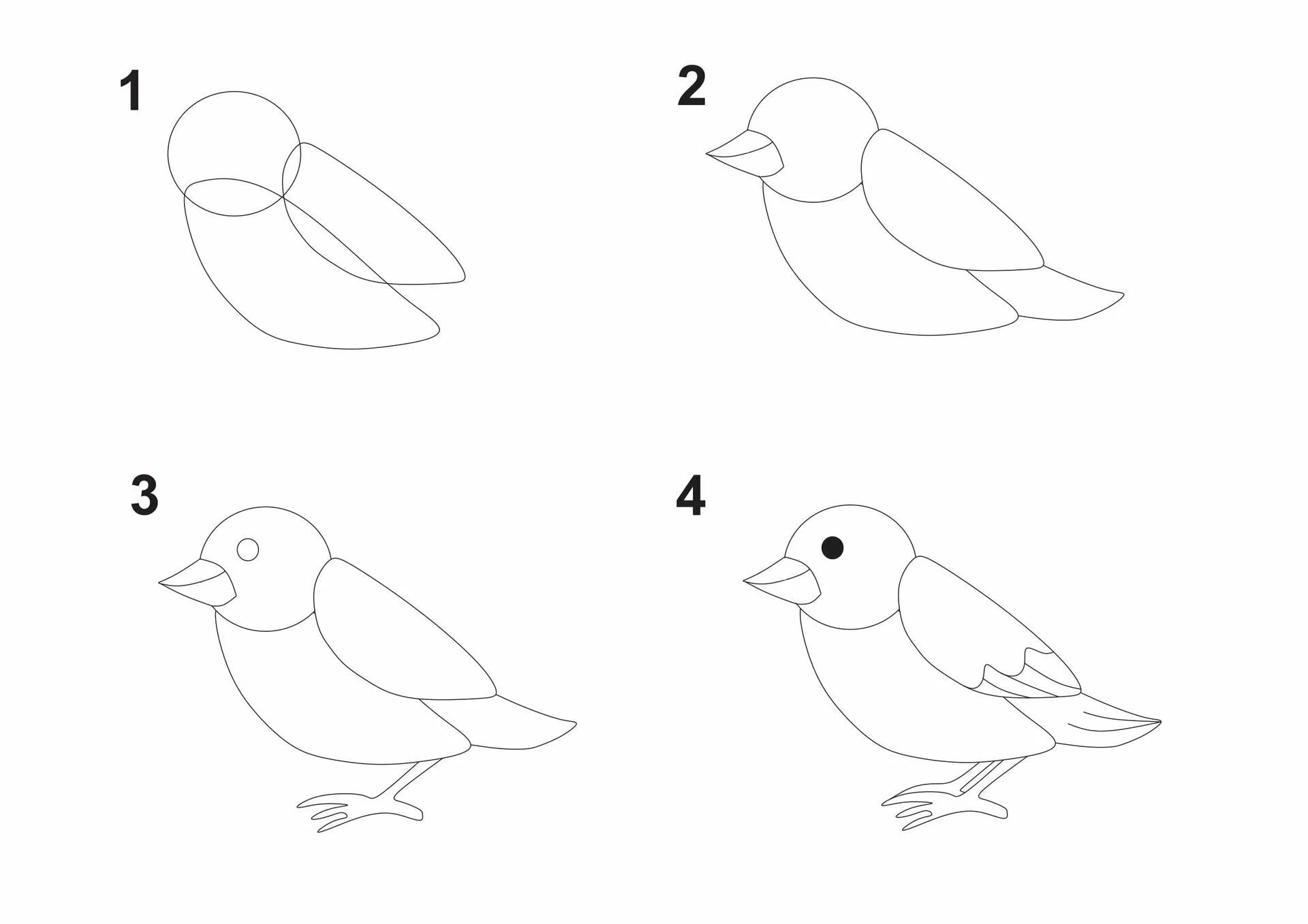Рисунок птицы 5 класс. Птичка рисунок для детей карандашом. Поэтапное рисование птиц. Этапы рисования птицы. Рисунок птицы для детей поэтапно.