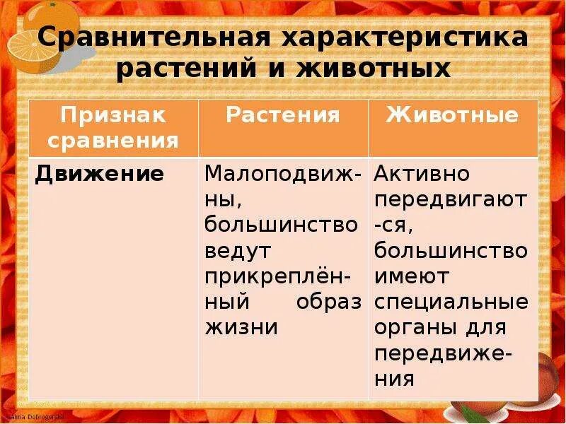 4 сходства растений и животных. Сравнительная характеристика растений и животных. движение растений и животных таблица. сравнение движения растений и животных таблица. характеристика растений.