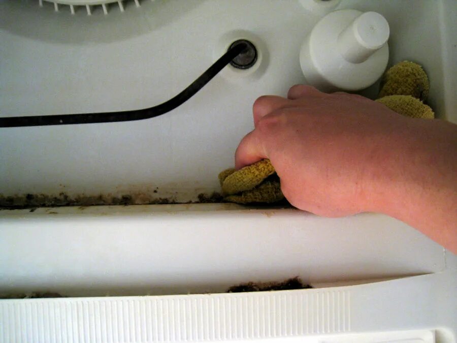 Как почистить посудомойку в домашних условиях
