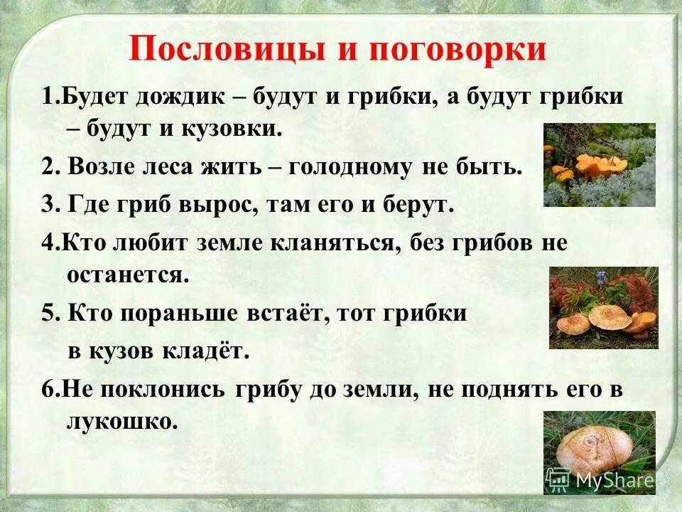 Загадка ответ пословица