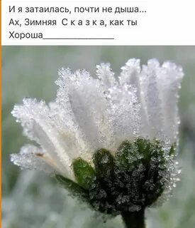 Хрупкая природа