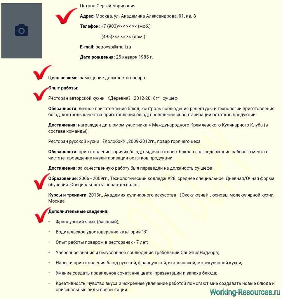 Профессиональный опыт работы пример