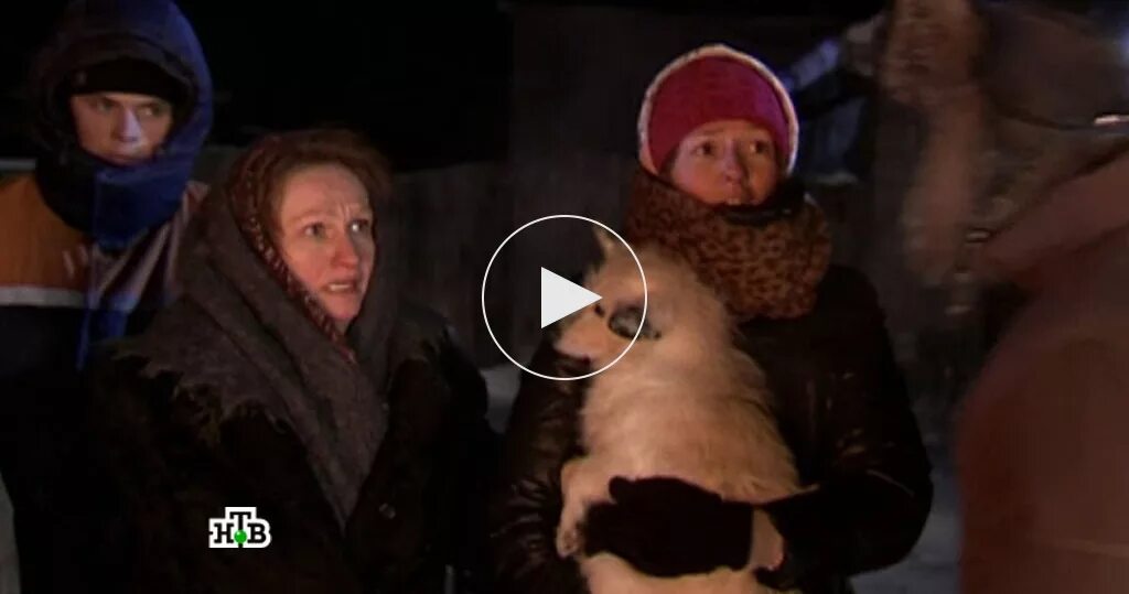 лесник лесные братья 2. лесник лесные братья 2. лесник лесные братья 2. лесник лесные братья 2. лесник лесные братья 2.