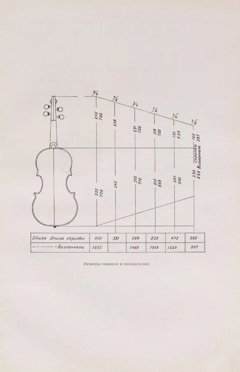 Размеры скрипок. Скрипки по размерам. Виолончель 4/4 Размеры. Скрипка 1/4 размер. Размеры скрипки 4 4