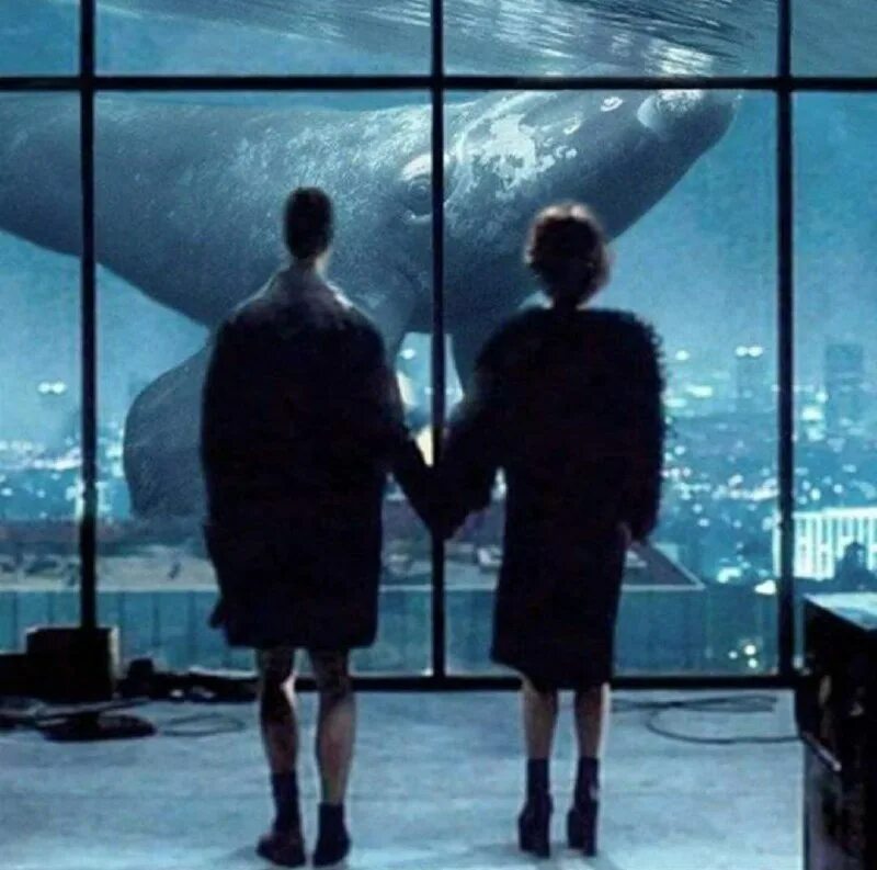 Last scene. расследования авроры тигарден. бойцовский клуб фингал. Last scene.