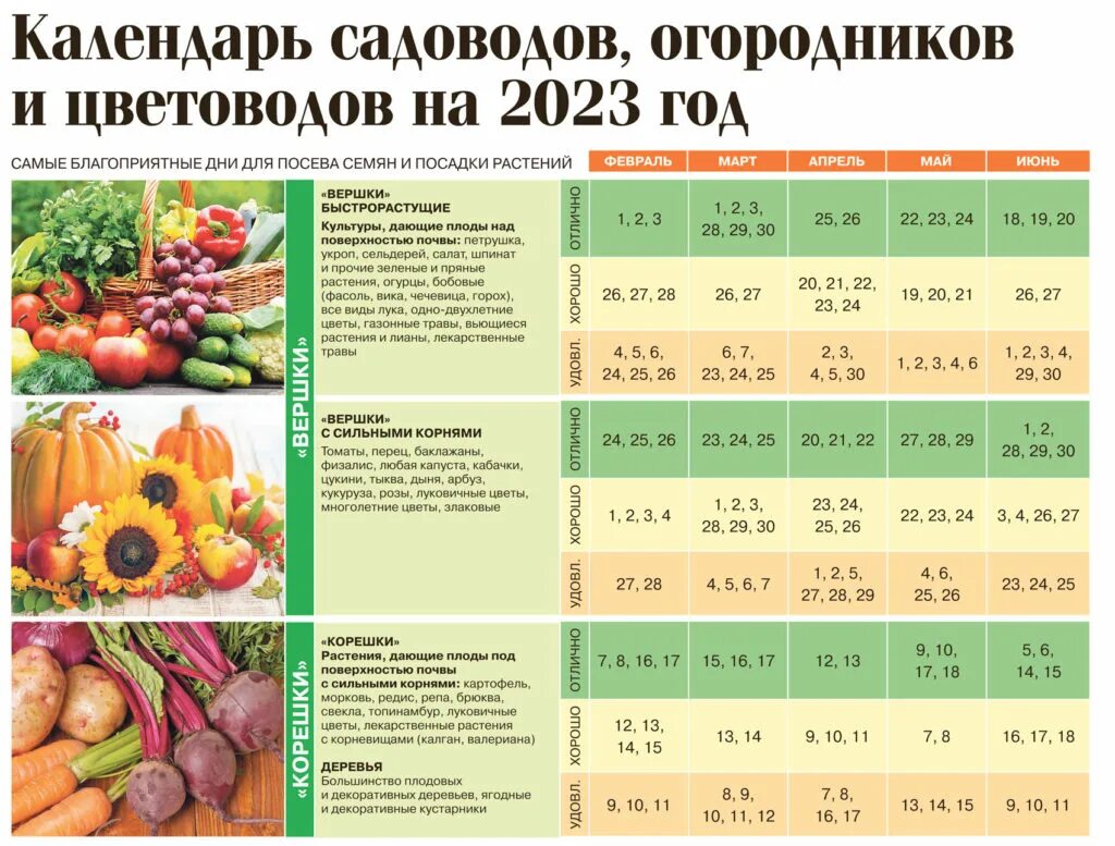 Лунный календарь на 2024г огородника алтайский край. Таблица садовода и огородника посевной. Календарь рассады. Посевной календарь таблица. Лунный календарь для рассады.