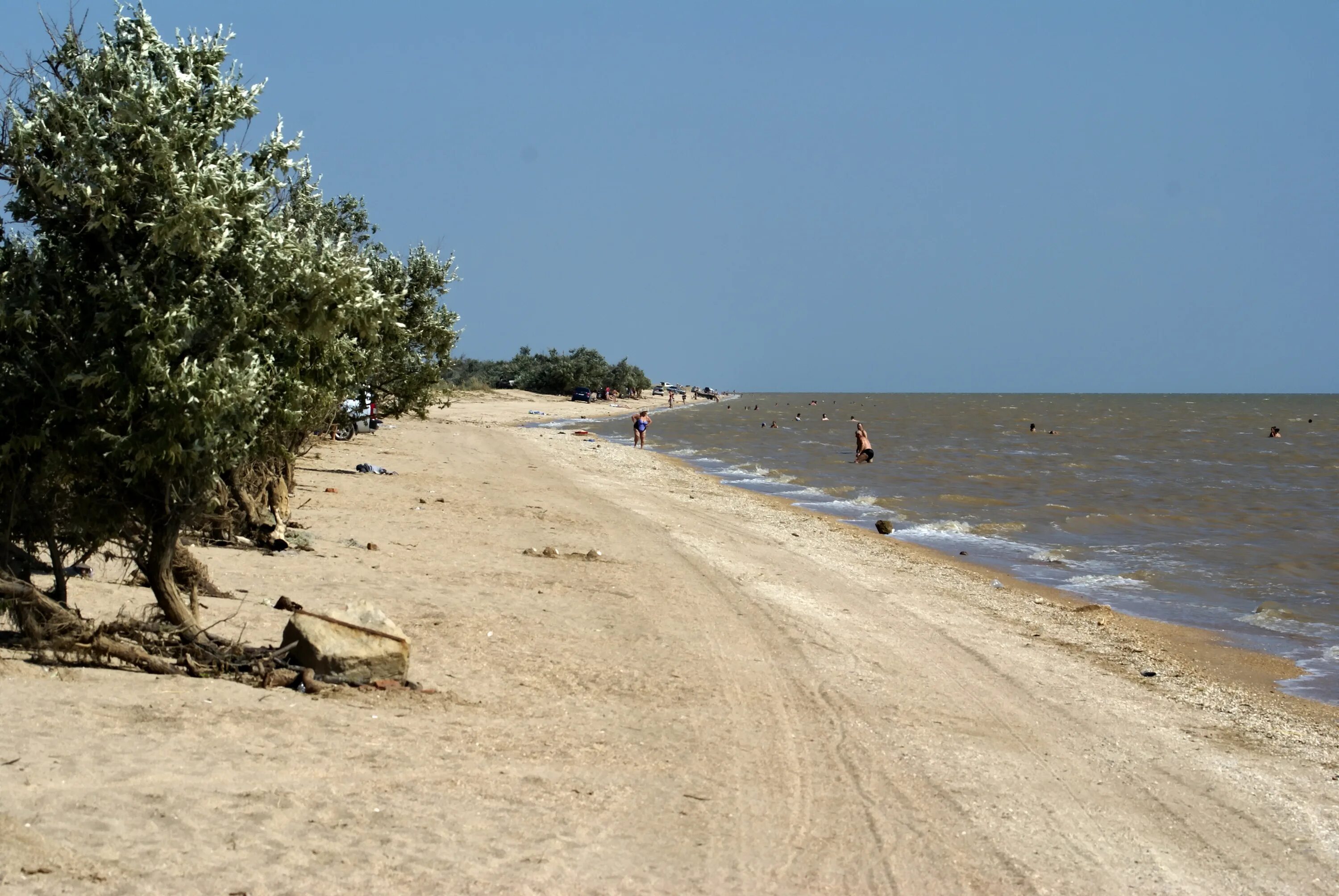 Камышеватская Ейский район. Коса Камышеватская Азовское море. Камышеватская Ейский район море. Станица камышеватская краснодарский край