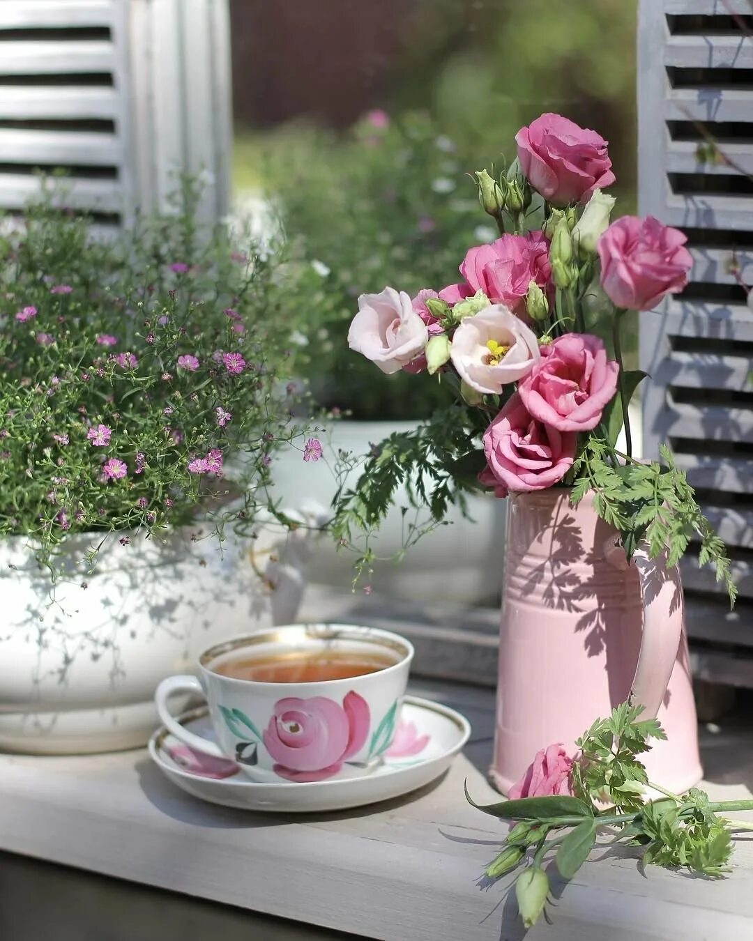 Цветы утром картинки. Утренние цветы. Красивые утренние цветы. Доброе утро цветы. Кофе и цветы.