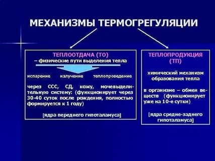 Что способствует теплоотдаче