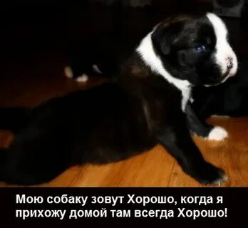 Хорошо не зовут